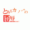 とあるカノッサの屈辱（歴史用語だよね？）