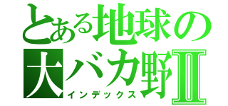 とある地球の大バカ野郎Ⅱ（インデックス）