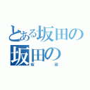 とある坂田の坂田の（坂田）