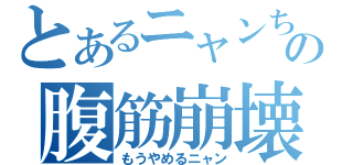 とあるニャンちゅうの腹筋崩壊（もうやめるニャン）