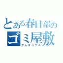 とある春日部のゴミ屋敷（がんまハウス）