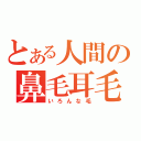 とある人間の鼻毛耳毛（いろんな毛）