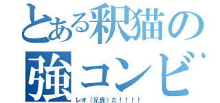 とある釈猫の強コンビ（レオ（兄貴）だ！！！！）