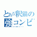 とある釈猫の強コンビ（レオ（兄貴）だ！！！！）