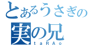 とあるうさぎの実の兄（ｔａＲＡｏ）