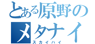 とある原野のメタナイト（スカイハイ）