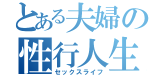 とある夫婦の性行人生（セックスライフ）