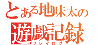 とある地味太の遊戯記録（プレイログ）