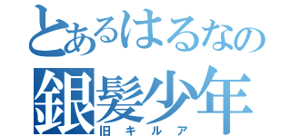 とあるはるなの銀髪少年（旧キルア）