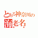 とある神奈川の海老名（田舎）