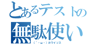 とあるテストの無駄使い（（´・ω・）カワイソス）