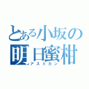 とある小坂の明日蜜柑（アスミカン）