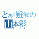 とある難波の山本彩（Ｂｉｒｄ）