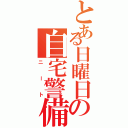 とある日曜日の自宅警備員（ニート）