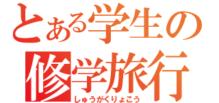 とある学生の修学旅行（しゅうがくりょこう）