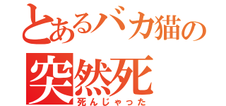 とあるバカ猫の突然死（死んじゃった）