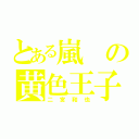 とある嵐の黄色王子（二宮和也）