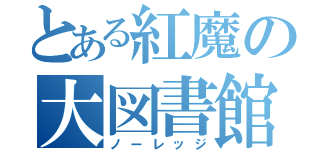 とある紅魔の大図書館（ノーレッジ）