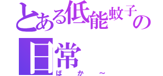 とある低能蚊子の日常（ばか～）