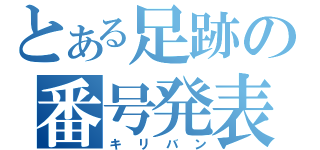 とある足跡の番号発表（キリバン）