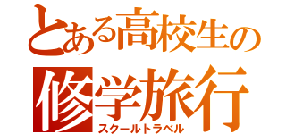 とある高校生の修学旅行（スクールトラベル）