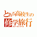 とある高校生の修学旅行（スクールトラベル）