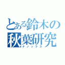 とある鈴木の秋葉研究（ナノックス）