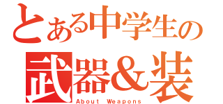 とある中学生の武器＆装備紹介（Ａｂｏｕｔ Ｗｅａｐｏｎｓ）