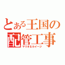 とある王国の配管工事（マリオ＆ルイージ）