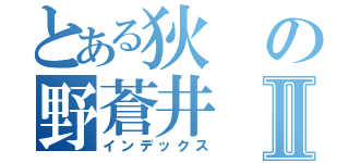 とある狄の野蒼井Ⅱ（インデックス）