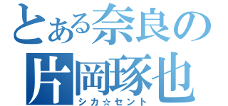 とある奈良の片岡琢也（シカ☆セント）