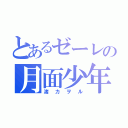 とあるゼーレの月面少年（渚カヲル）