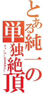 とある純一の単独絶頂（フィーバーエクスタシー）