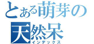 とある萌芽の天然呆（インデックス）