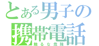 とある男子の携帯電話（触るな危険）