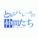 とあるバレー部の仲間たち（チームメイト）