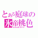 とある庭球の氷帝桃色（たきはぎのすけ）