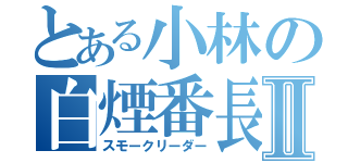 とある小林の白煙番長Ⅱ（スモークリーダー）