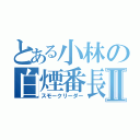 とある小林の白煙番長Ⅱ（スモークリーダー）