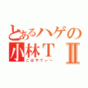 とあるハゲの小林ＴⅡ（こばやてぃー）