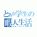 とある学生の暇人生活（スローライフ）