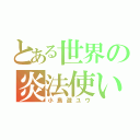 とある世界の炎法使い（小鳥遊ユウ）