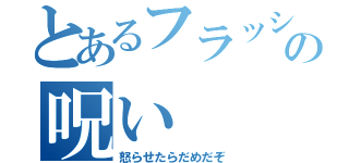 とあるフラッシュの呪い（怒らせたらだめだぞ）