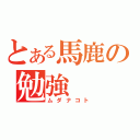 とある馬鹿の勉強（ムダナコト）