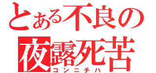 とある不良の夜露死苦（コンニチハ）