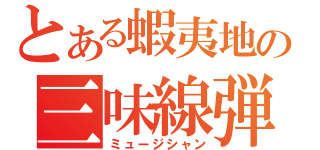 とある蝦夷地の三味線弾（ミュージシャン）