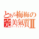 とある梅梅の完美氣質Ⅱ（パーフェクト）