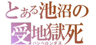 とある池沼の受地獄死（パシヘロンダス）