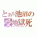 とある池沼の受地獄死（パシヘロンダス）