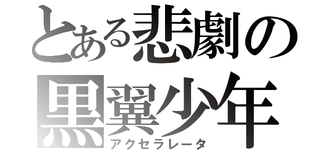 とある悲劇の黒翼少年（アクセラレータ）